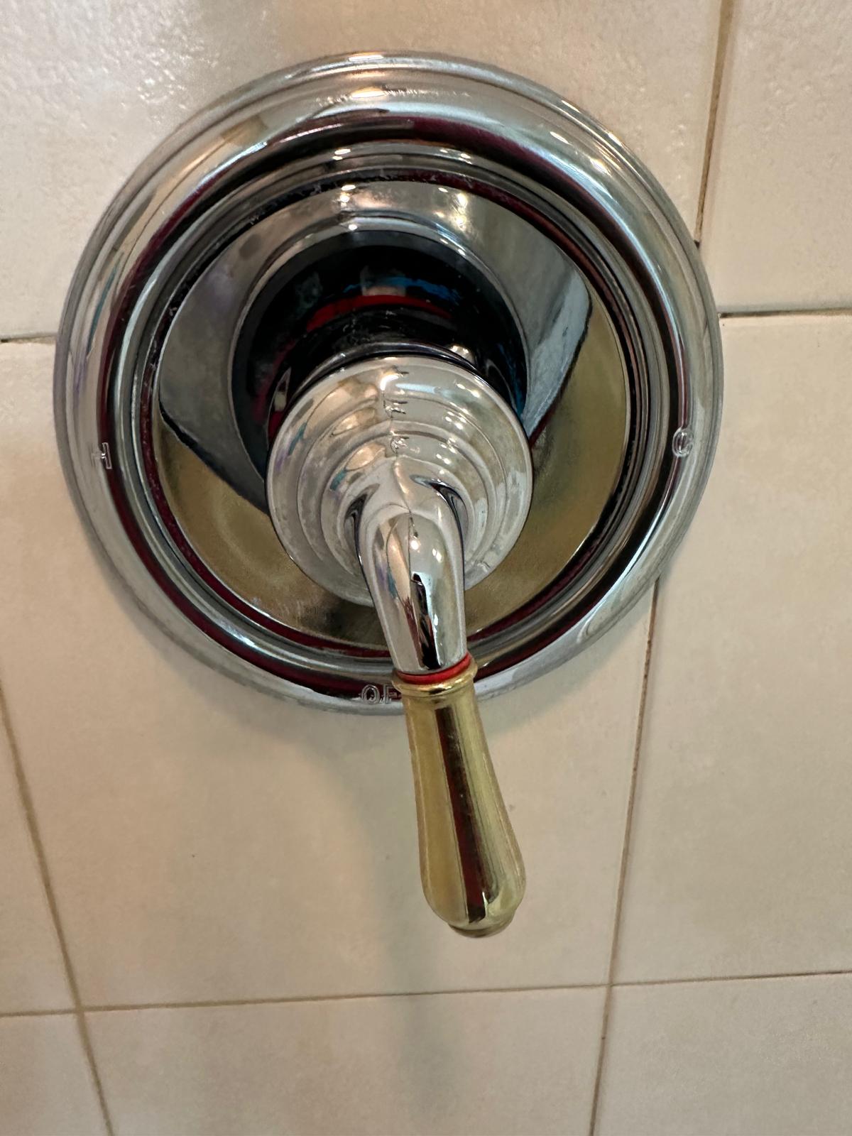 Sparkling chrome shower fixture after deep cleaning and restoration service in St Petersburg Florida