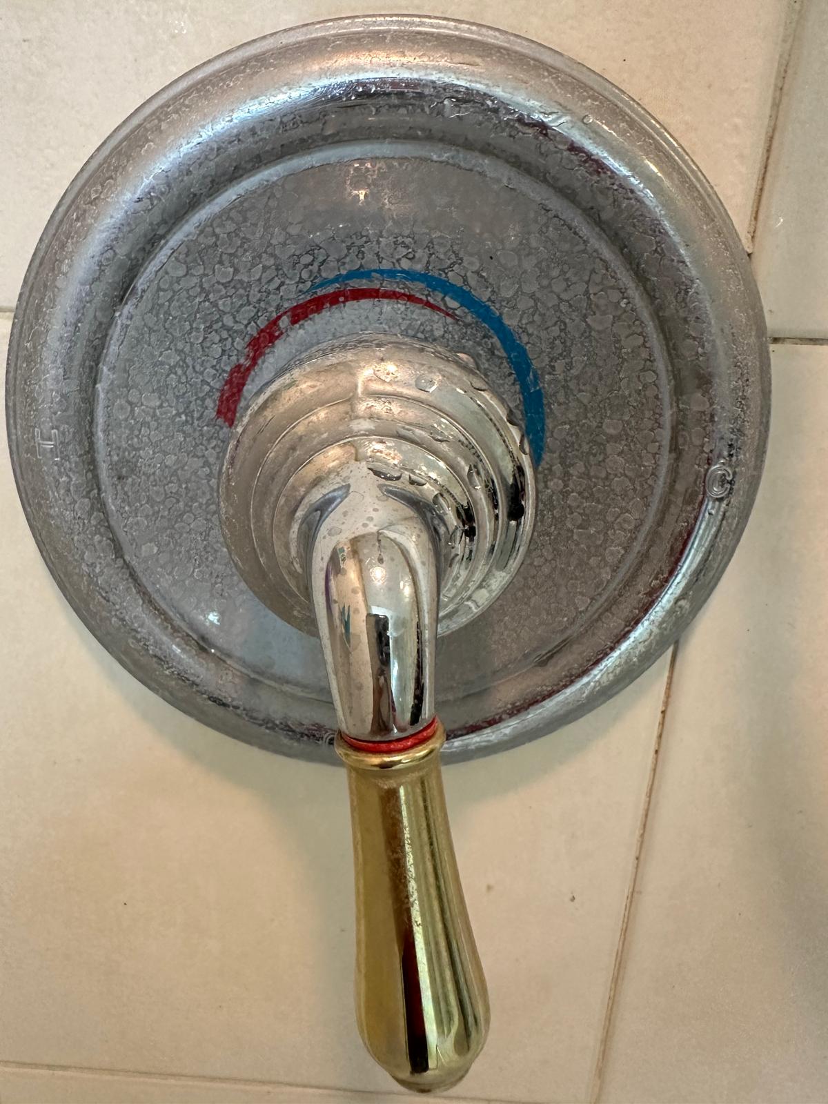 Grimy shower fixture with buildup before bathroom cleaning by Vicillas Cleaning Solutions St Petersburg FL